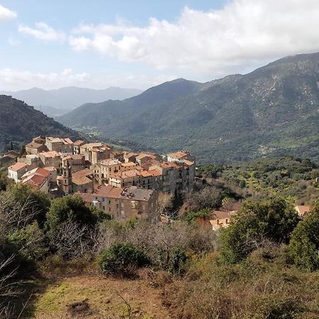 Casa Corsa Βίλα Santa-Lucia-di-Tallano Εξωτερικό φωτογραφία